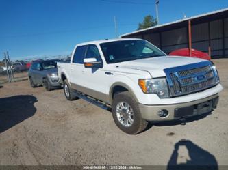 FORD F-150 FX4/HARLEY-DAVIDSON/KING RANCH/LARIAT/PLATINUM/XL/XLT