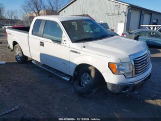 FORD F-150 XLT