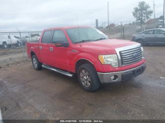 FORD F-150 XLT