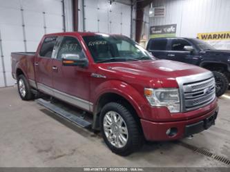 FORD F-150 PLATINUM