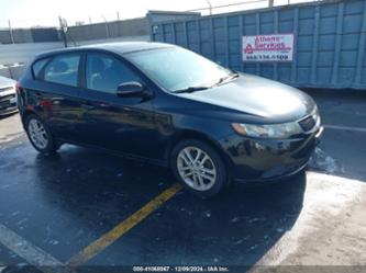 KIA FORTE EX