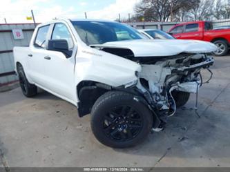 CHEVROLET SILVERADO 1500 2WD SHORT BED CUSTOM