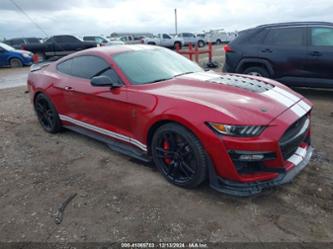 FORD MUSTANG SHELBY GT500 FASTBACK