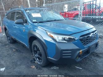 SUBARU OUTBACK WILDERNESS