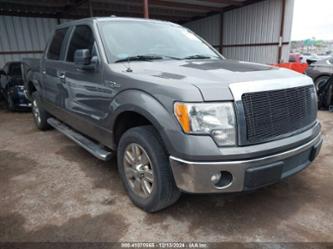 FORD F-150 XLT