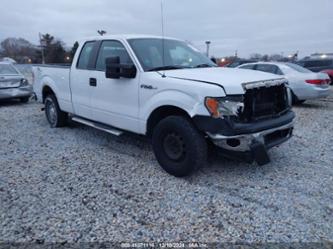 FORD F-150 XL