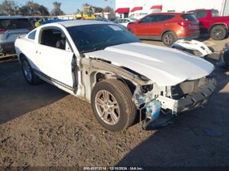 FORD MUSTANG V6