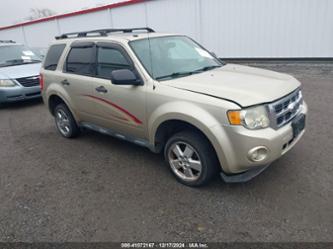 FORD ESCAPE XLT