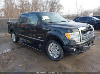 FORD F-150 PLATINUM