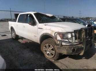 FORD F-150 FX4