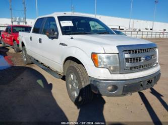 FORD F-150 XLT