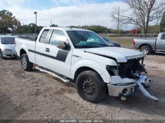 FORD F-150 XLT