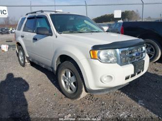 FORD ESCAPE XLT