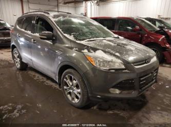 FORD ESCAPE SEL