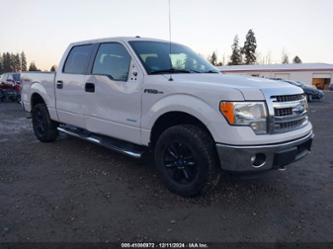 FORD F-150 XLT