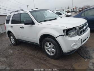 FORD ESCAPE XLT