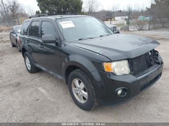 FORD ESCAPE XLT