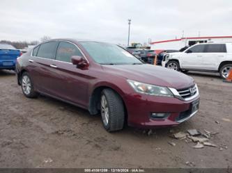 HONDA ACCORD EX-L V-6