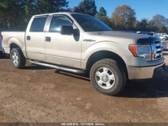 FORD F-150 XLT