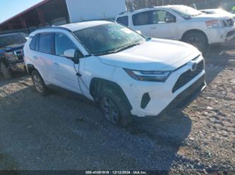 TOYOTA RAV4 HYBRID LE