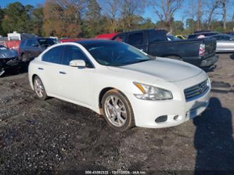 NISSAN MAXIMA 3.5 SV