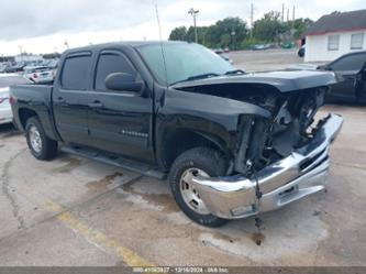 CHEVROLET SILVERADO 1500 LT