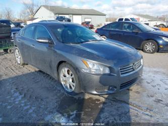 NISSAN MAXIMA 3.5 SV