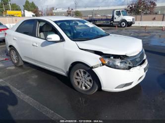 KIA FORTE EX