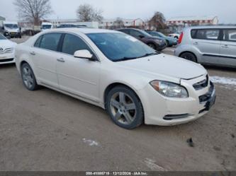 CHEVROLET MALIBU 1LT