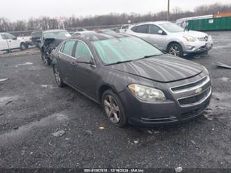 CHEVROLET MALIBU 1LT