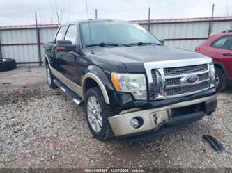 FORD F-150 FX4/HARLEY-DAVIDSON/KING RANCH/LARIAT/PLATINUM/XL/XLT