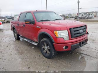 FORD F-150 FX4