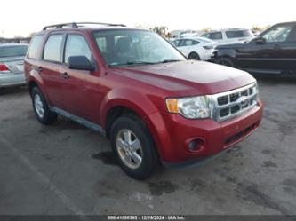 FORD ESCAPE XLS