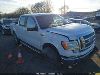 FORD F-150 FX4/HARLEY-DAVIDSON/KING RANCH/LARIAT/PLATINUM/XL/XLT