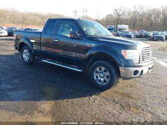 FORD F-150 STX/XL/XLT