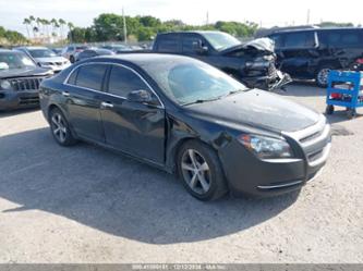 CHEVROLET MALIBU 1LT