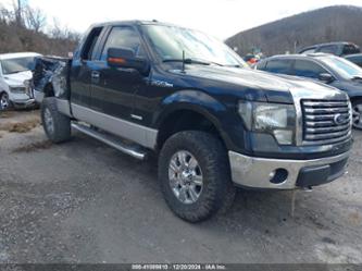 FORD F-150 XLT