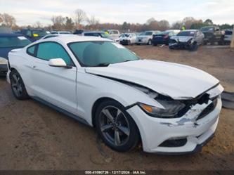 FORD MUSTANG V6