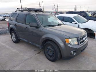 FORD ESCAPE XLT