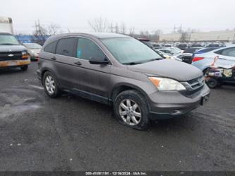 HONDA CR-V SE