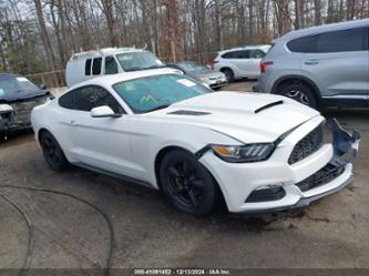 FORD MUSTANG V6