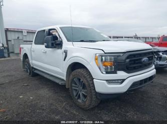 FORD F-150 XLT