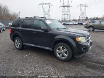 FORD ESCAPE LIMITED