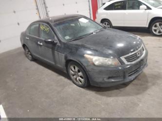 HONDA ACCORD 3.5 EX-L