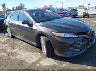 TOYOTA CAMRY HYBRID XLE