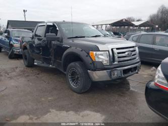 FORD F-150 XLT