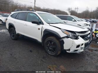 SUBARU OUTBACK WILDERNESS