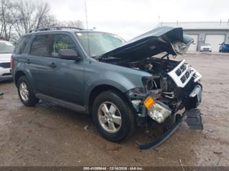 FORD ESCAPE XLT