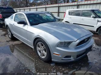 FORD MUSTANG V6