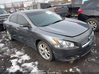 NISSAN MAXIMA 3.5 SV